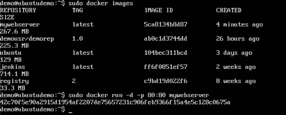 Docker 运行命令