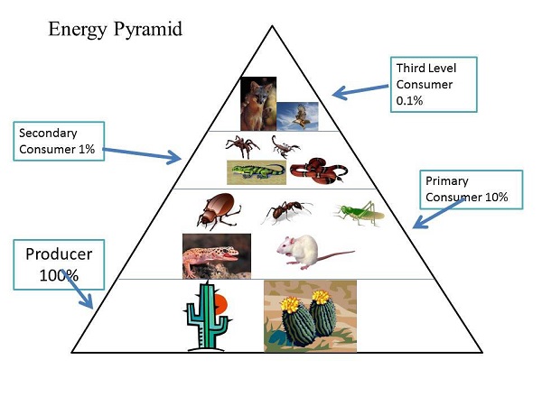 能量Pyramid