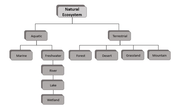 自然生态系统