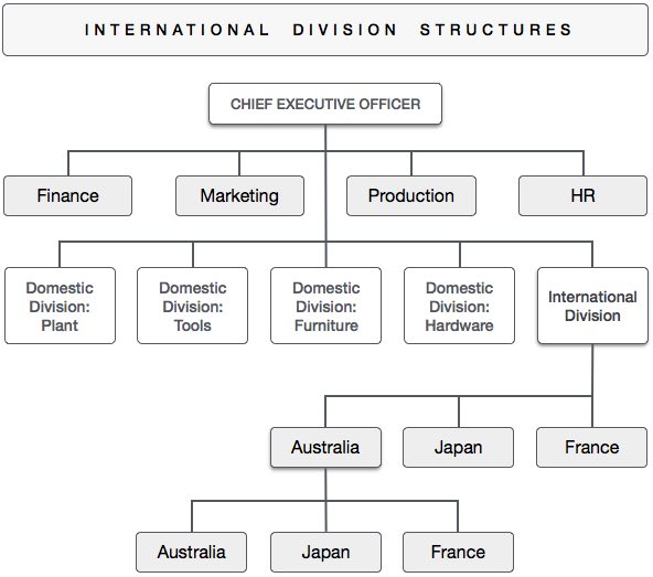 国际部结构