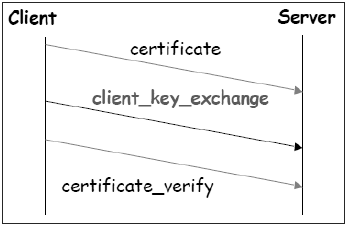 SSL 会话建立阶段 3