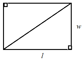 求直角三角形或其对应矩形的面积