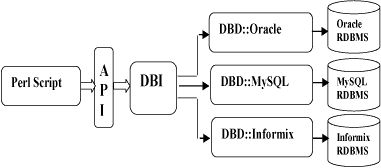 Perl 数据库模块 DBI 架构