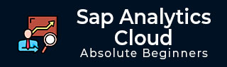 SAP 分析云教程