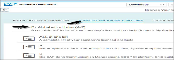 SAP 软件下载