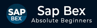 SAP BEx 教程