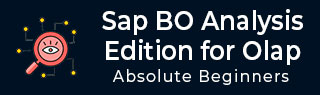 SAP BO分析教程