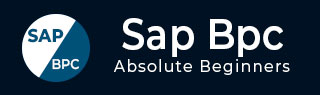 SAP BPC 教程
