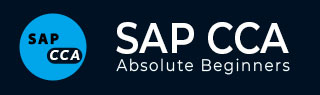 SAP CCA 教程