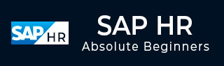 SAP人力资源教程