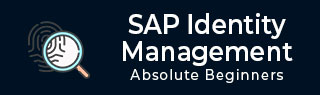 SAP IDM 教程