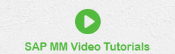 SAP MM 视频教程