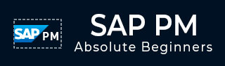 SAP 项目管理教程