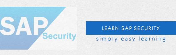 SAP 安全教程