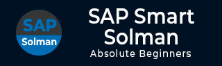 SAP Solman 教程