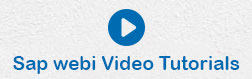SAP Webi 视频教程
