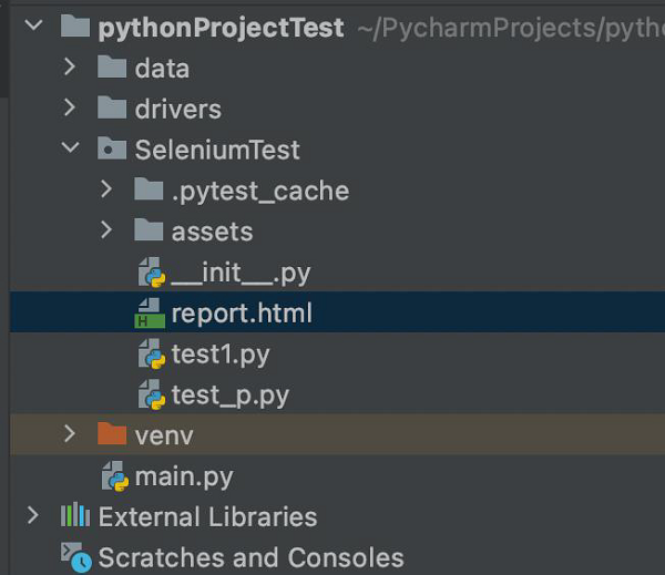 Python项目测试