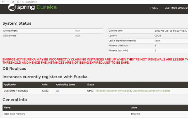 设置 Eureka 客户端实例