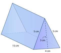 使用网求三棱柱的表面积 Quiz6