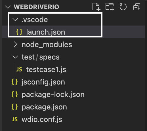 文件 Launch.json