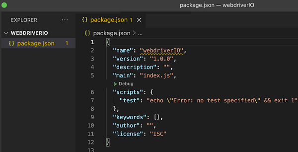 Package.json 文件